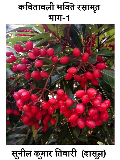 Title details for कवितावली भक्ति रसामृत भाग-1 by Sunil Tewary - Available